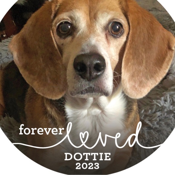 Meet your Posher, Brittney - Picture 9 of 15